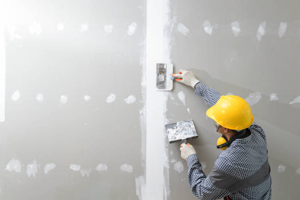 Best Mold Documentation for Insurance Claims  in Carrizozo, NM