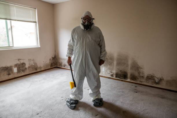 Best Asbestos and Lead Testing During Mold Inspection  in Carrizozo, NM