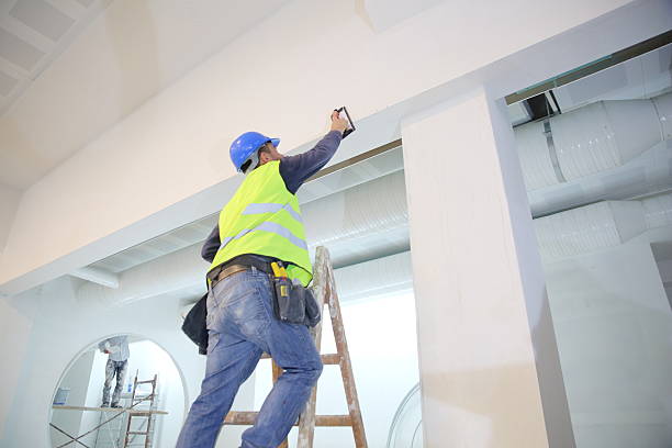 Best Environmental Consulting for Mold Prevention  in Carrizozo, NM